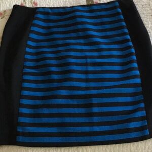 Ann Taylor skirt